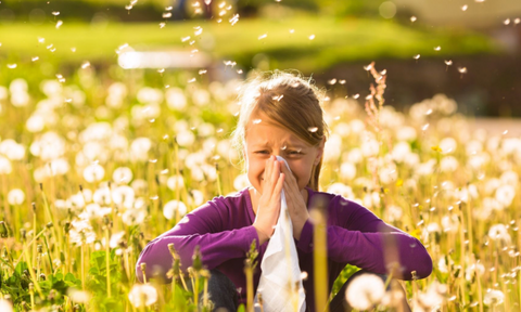 Hay Fever: Finding the Best Treatment for You